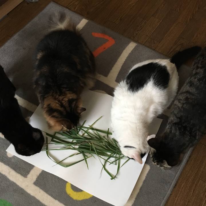 E0b08de1 9578 4082 af99 282437310f16 1519532278506