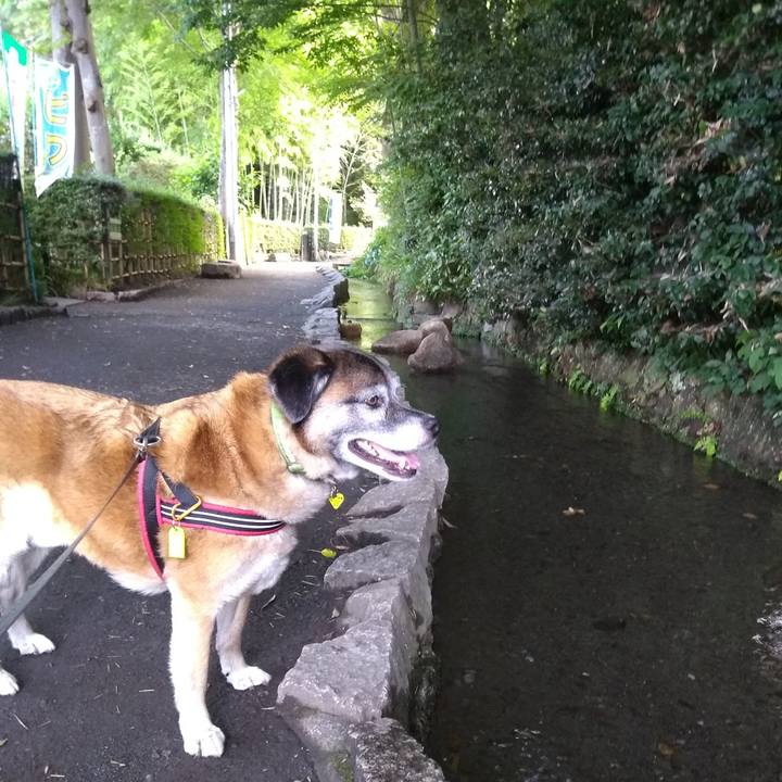 E0b09fbd f09f 43c4 893e 174c5ba4bcbf 1561508038296