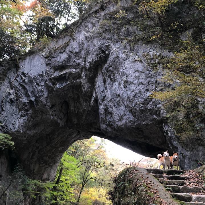 E0b0da21 5d24 4859 9b6e 926284dedfb0 1573043261680