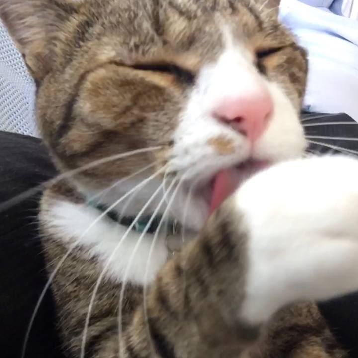 E0b0e7a3 d598 4e3a b69e 66126699e0f6 1705713087697