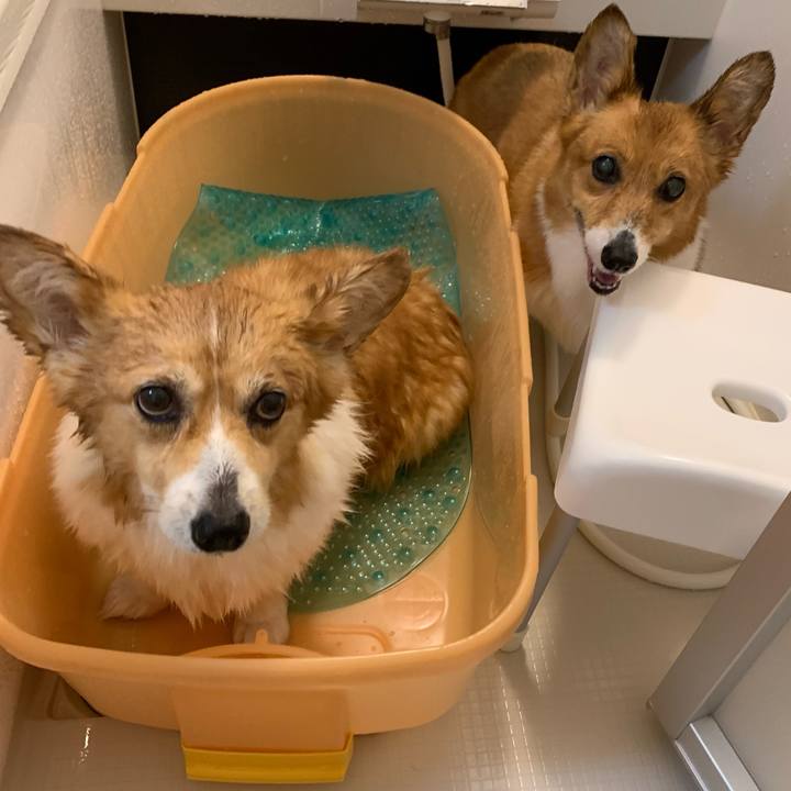 E0b0f5a9 82a0 4b14 92fb 8c350d433383 1720564765497