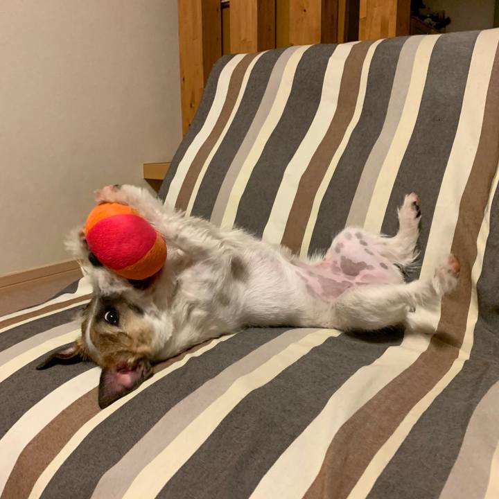 E0b1132e 4ebc 4967 8668 dff95c642bc4 1582462893281