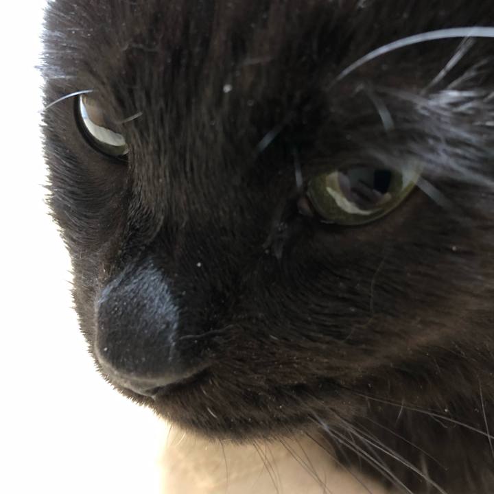 E0b12ec0 0182 4a00 b191 b9311c9ee0e7 1592601623153