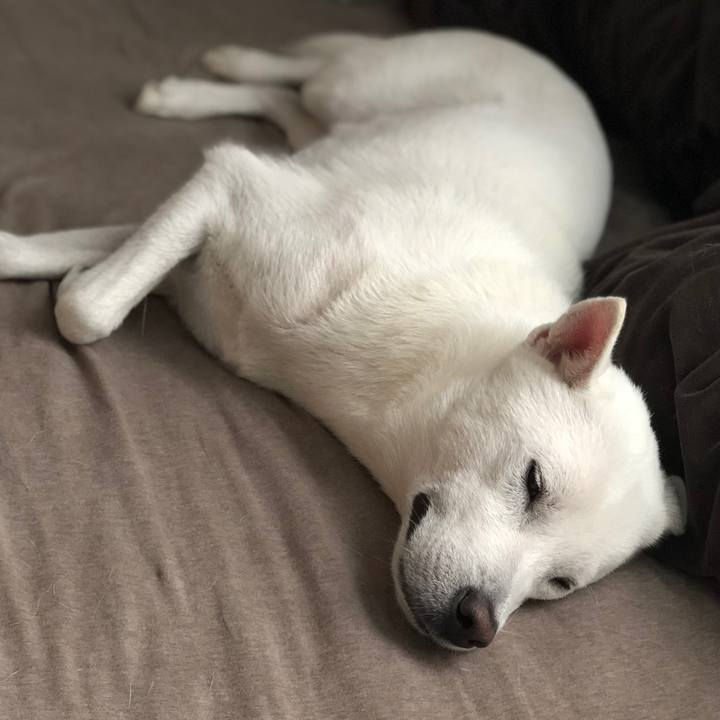 E0b150c8 f13d 46e2 a548 2c254cda9ba5 1572320473361