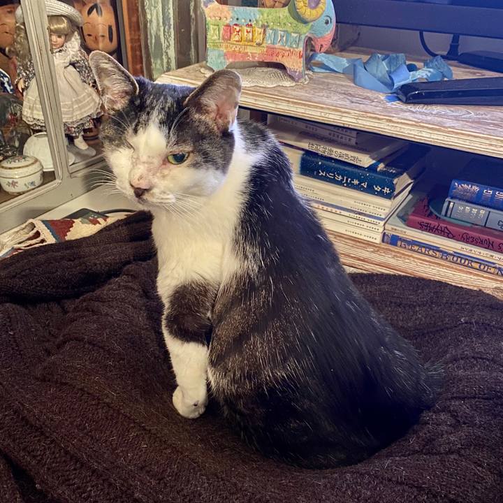 E0b173eb bb5c 48aa b91d c7fbe9e4aa85 1585232996742