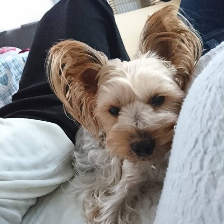 E0b18ed7 d544 43e2 818f 3b426a907af0 1538641115806