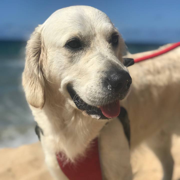 E0b19586 5140 4483 a4a9 96d5cc6d2f58 1536486157018