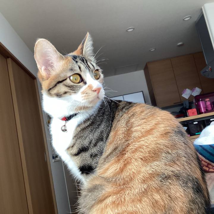 E0b1a737 4e50 4387 ae6c cc523e0079ee 1680901679847