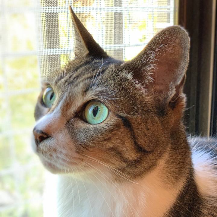 E0b1ab73 b9c0 4db8 b0a2 0646d3593f2a 1557883766035