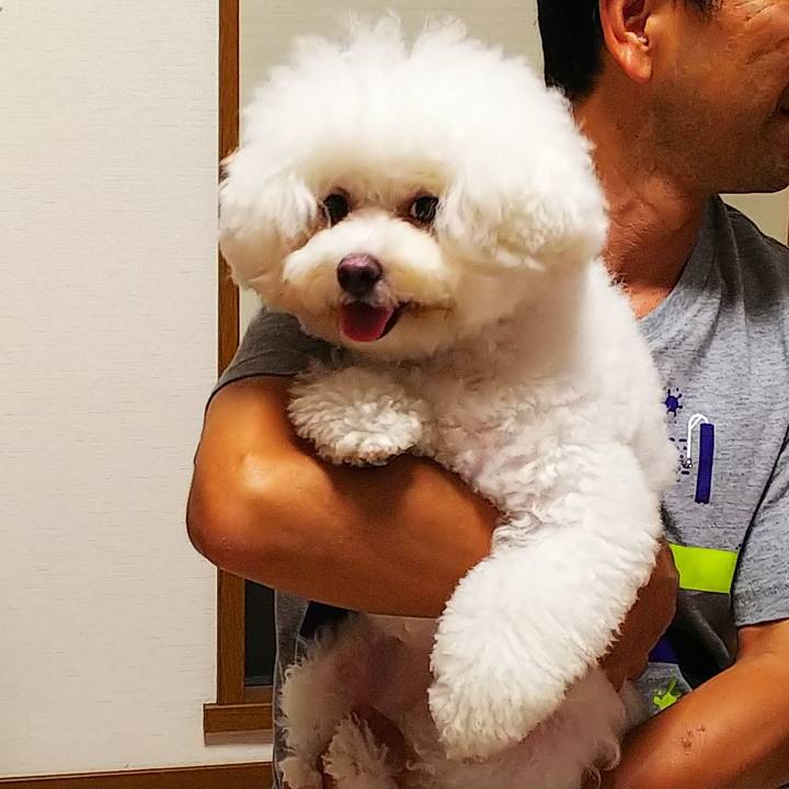 E0b1b76b ee8c 4f3c 991f c440d059a133 1567427984933