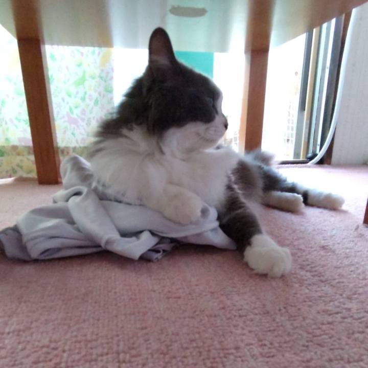 E0b1bc11 8207 4e8e 8f2f 61f60f21a834 1723275061549