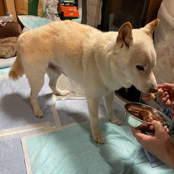 E0b1ef77 bcde 4a75 8433 225011cac1fd 1640007440383