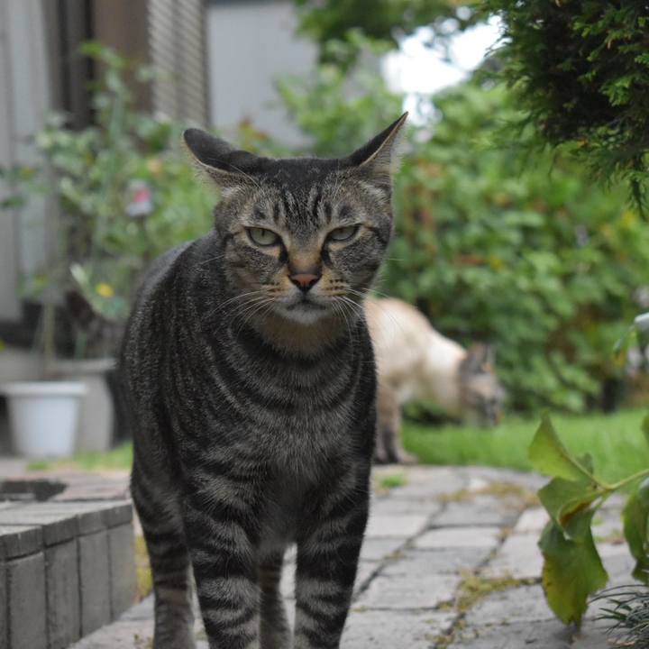 E0b21732 3e93 4cdb a54d 32d17ac97d1e 1566091223130