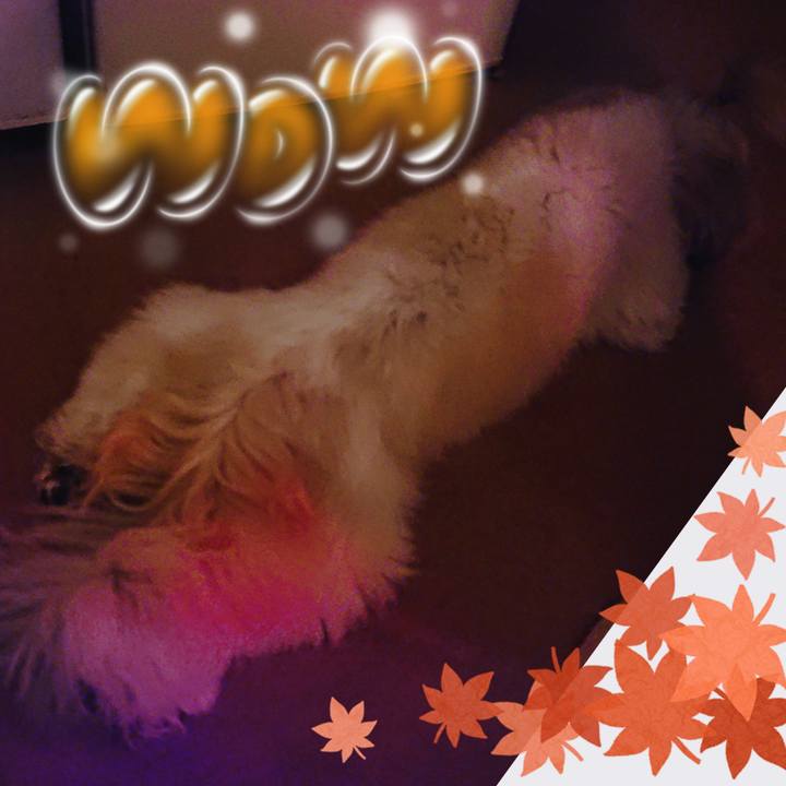 E0b24cd4 ee9c 4058 afbf 896e5cf1dd00 1540734550424
