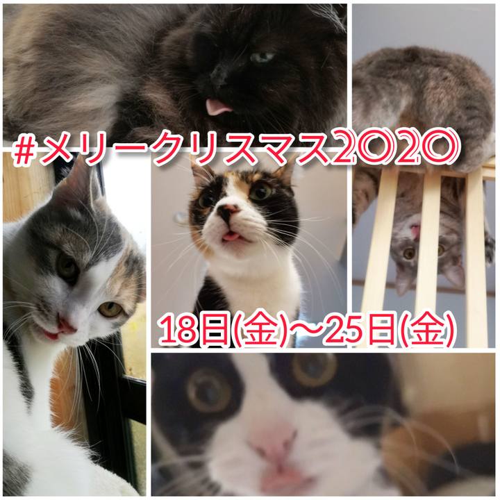 E0b26bbd bdd0 42b2 a8bd 94f9e16ab59c 1608216913553