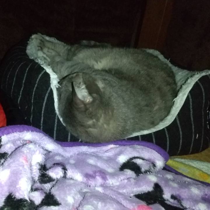 E0b2728b 7e76 4e3a ad16 2812c0642116 1605788462486