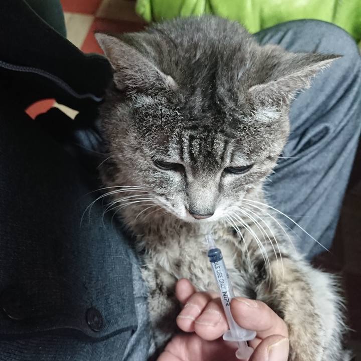 E0b29f69 20f0 42fb 9bee a3297159d283 1584049450812