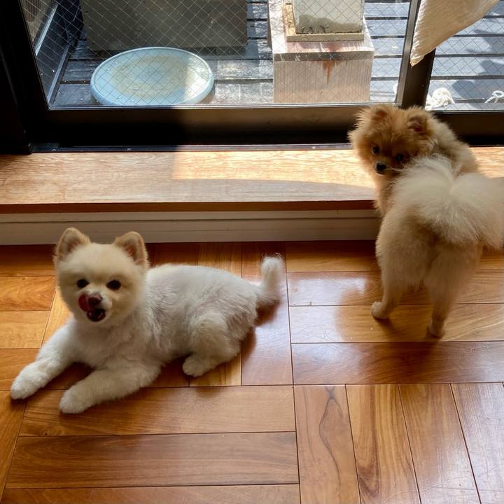 E0b2f053 e990 4163 8261 08cca3cef6ce 1657235931921