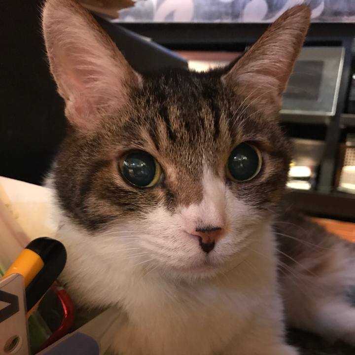 E0b2fb52 ffb1 47b4 bd06 cb9938544fc6 1550143573264