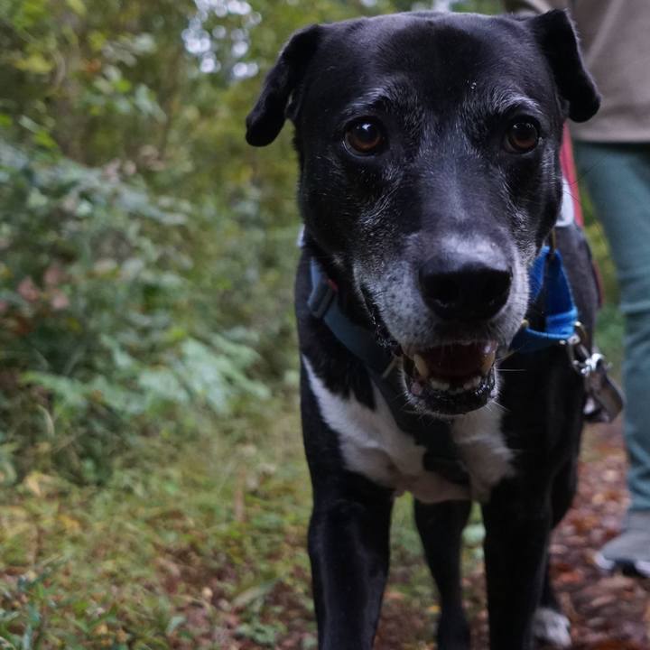 E0b36813 e64c 43ab 94f5 368ffe9ff976 1762388885043