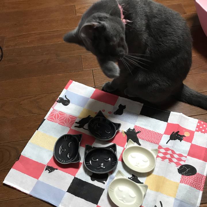 E0b36cda f9ca 4302 afc7 206a3117b3f6 1561116131993