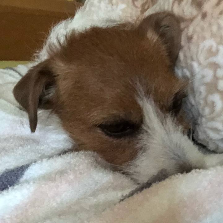 E0b37b3a 7734 45ce b340 b4f4de755438 1547355236286