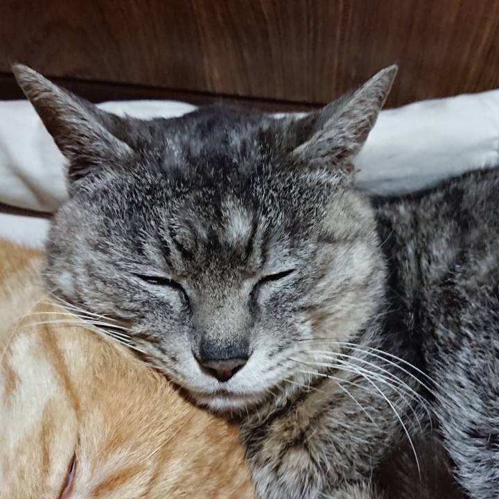 E0b399d2 03e8 4bf7 ac1c 372a298add88 1588510080825