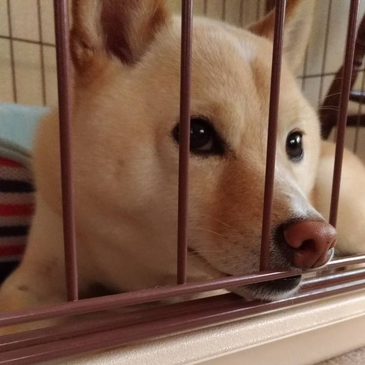 E0b39aa8 eab7 4129 962b b02e077c5feb 1560833456168