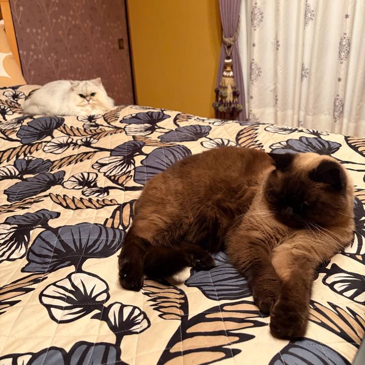 E0b3a9f0 ec08 4b1e b8c0 ef504e0cd539 1768479947228