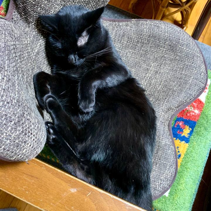 E0b3b897 6516 46ba 8fba a34feaf47a7d 1669376341715