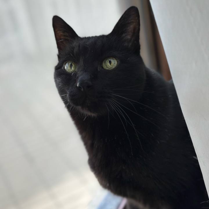 E0b3d08f c999 466c 9f1d 4bd92e05000f 1670982449336