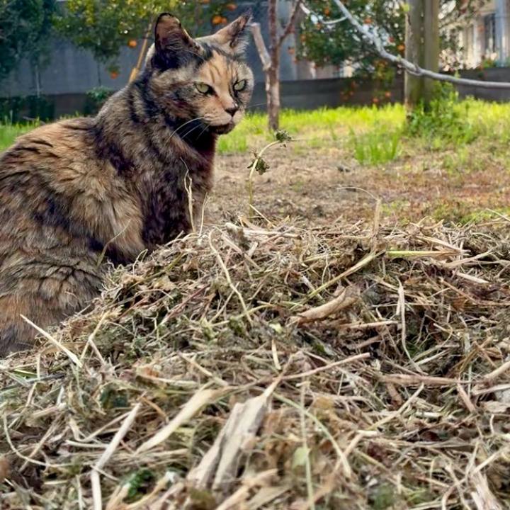 E0b3e9b9 3a31 4d5e a48f cf4784aa901d 1774789792566