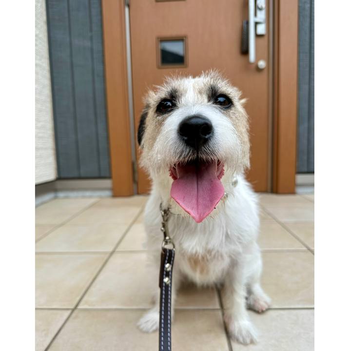 E0b3ef8d 4e7d 4acf 8856 9cb826adcfa2 1749222772860