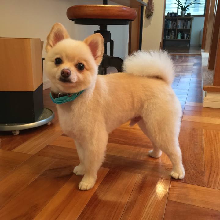 E0b41554 4af3 4a06 81b4 1f52747c2416 1534583552084