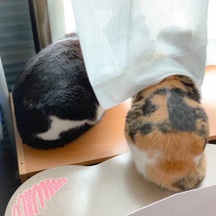 E0b44b76 1bb0 48f9 a52e 24e054d6c902 1557713339845