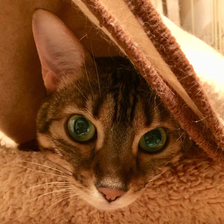 E0b44c33 60d4 4210 baea e2fe7f2f9a2d 1542151492083