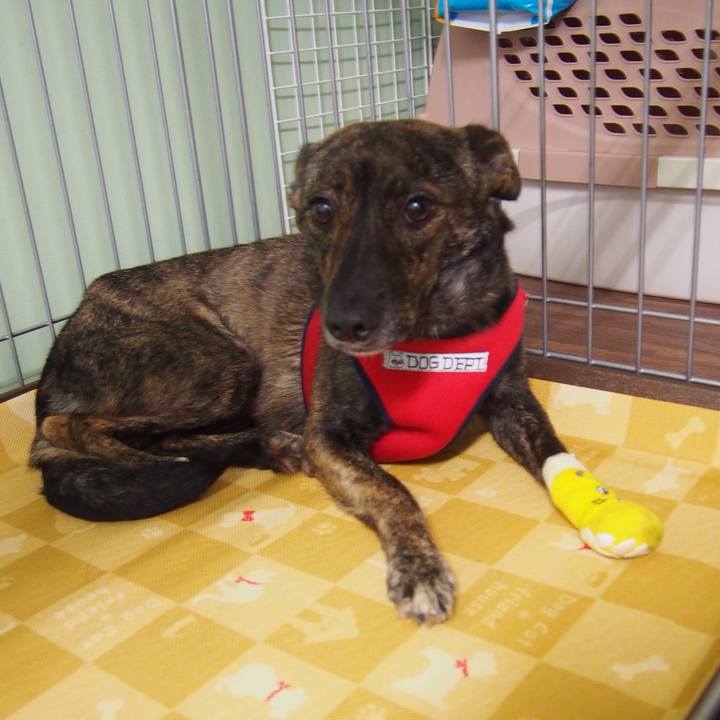 E0b45059 d4d1 46d2 b3a6 5ccdd2de048e 1535438743549