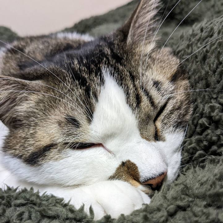 E0b458e7 6372 4273 b26b 60787d0cf018 1701750109270