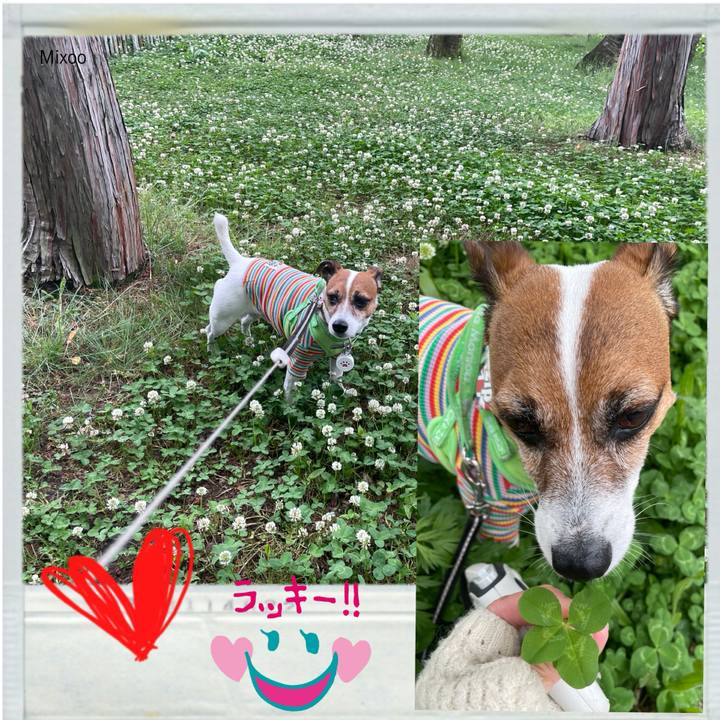 E0b478e7 135b 4432 a344 5d61a12088e4 1748174734343