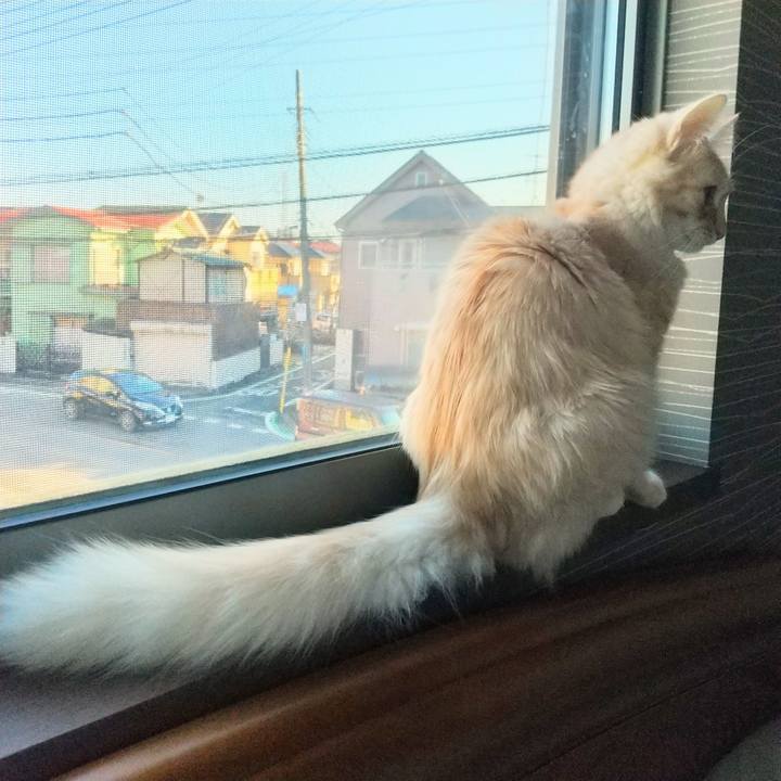 E0b47b69 e07b 4949 8042 6e8234c45f1b 1611879017100