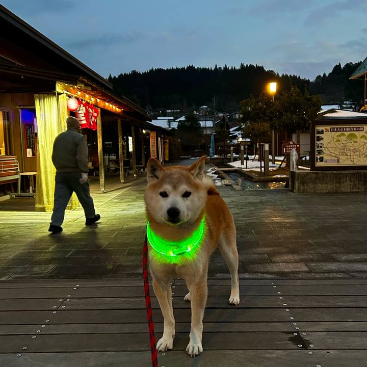 E0b4e631 d6bf 4181 9346 2387d7992ebb 1769512314773