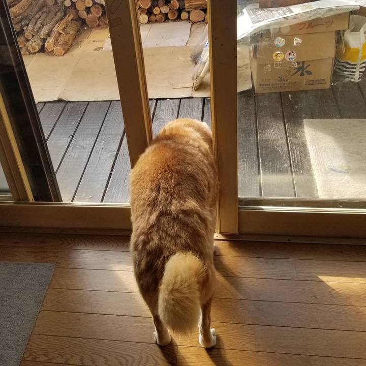 E0b4f56f 48a9 449c 8fa2 2c93bcd666e8 1737507721656