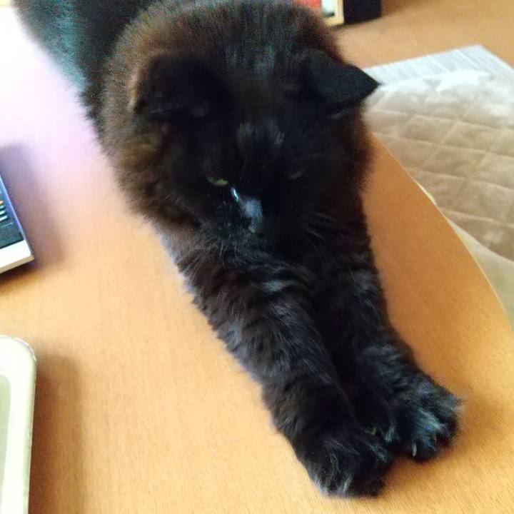 E0b512f5 b69c 4d06 b428 d2030d63e7ce 1647935609167