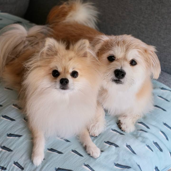 E0b51881 b8a4 45e4 8ce4 d7d03b3682f3 1757455926142