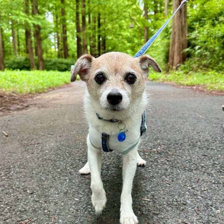 E0b5248c e70a 4d75 9d1b 5e28cb8ba1d8 1721024402641