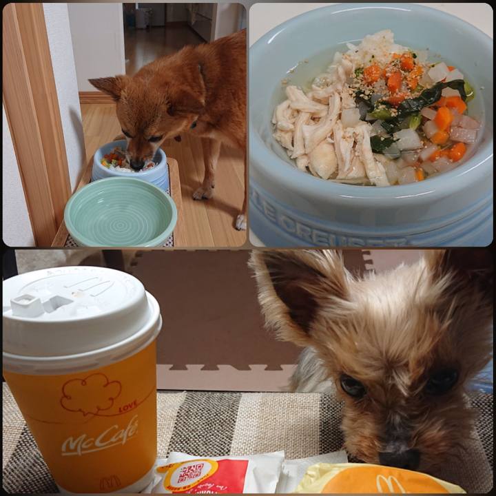 E0b5356a a9a5 4bf5 9874 546a16b6458c 1591396441211