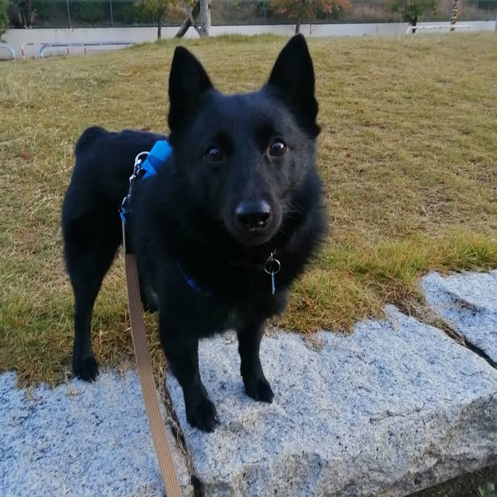 E0b54af0 e070 4994 82e8 660b9b9e74ee 1635196258908