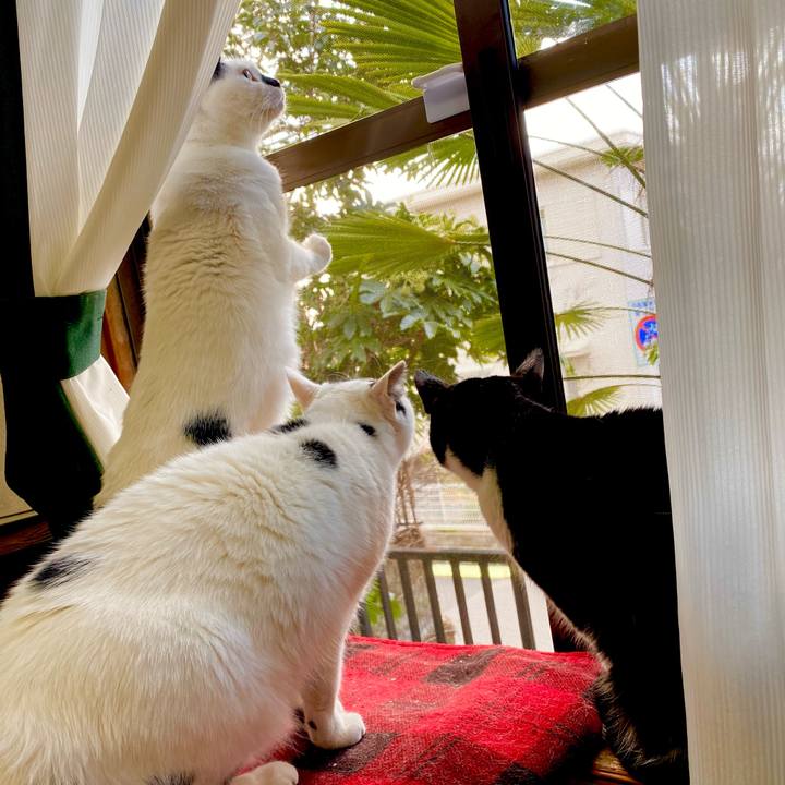 E0b55e42 0d28 4a66 b47e 9adc449a9bfe 1612360603985