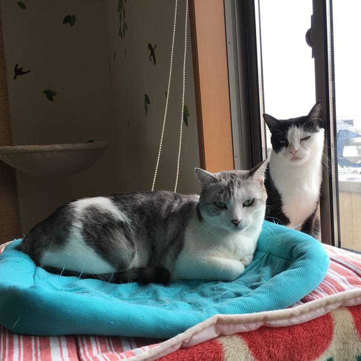 E0b57ee7 9720 4d6e 9d1f 600ff61494d1 1552963087691