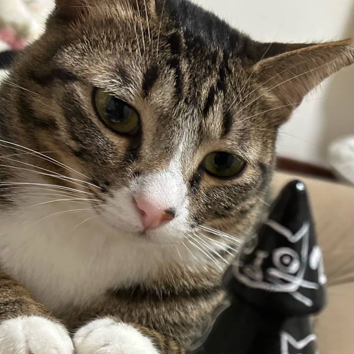 E0b581a7 c9be 4e53 a861 8abc818d05e5 1766485783834